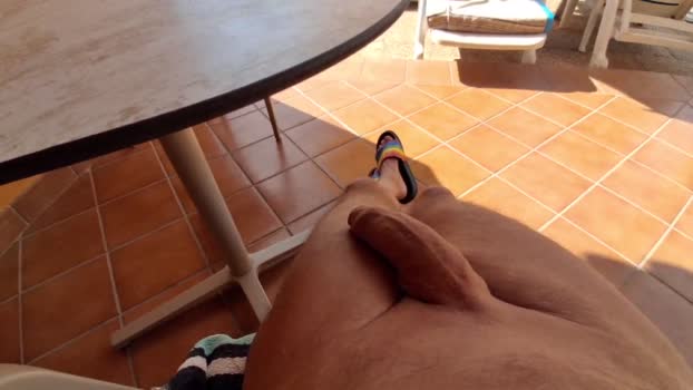 Aktiv19cm gay Webcam SHOW @ Cam4 20-11-2025