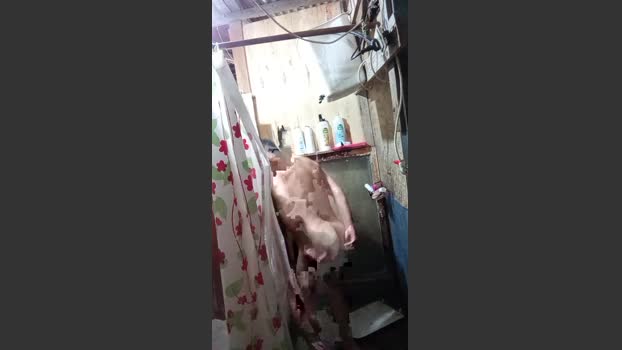 Asasass suck Webcam SHOW @ Cam4 19-11-2025