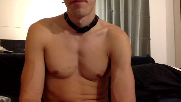 Bottomhung horny Webcam SHOW @ Cam4 22-11-2025