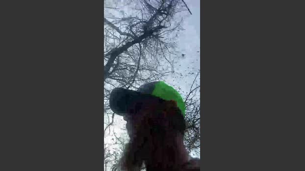 Brandonblt23 toy Webcam SHOW @ Cam4 21-11-2025