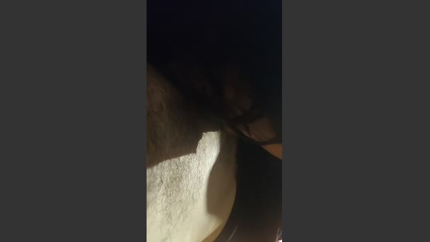 wildsexfun sweet Webcam SHOW @ Cam4 23-11-2025