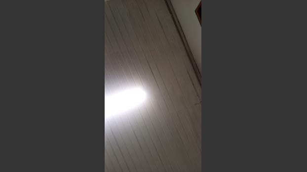 brazilnovo nude Webcam SHOW @ Cam4 26-11-2025