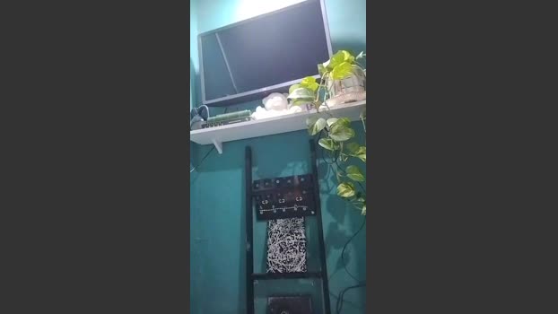 jose34619 gag Webcam SHOW @ Cam4 26-11-2025