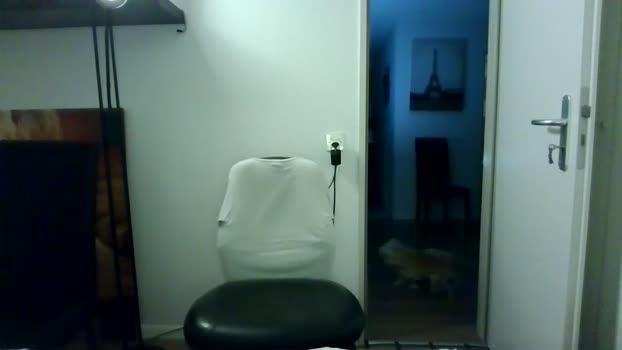 ALPHA_HUNK spanking Webcam SHOW @ Cam4 29-11-2025