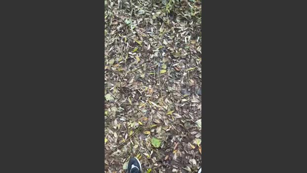 porcobg18 fuckher Webcam SHOW @ Cam4 29-11-2025