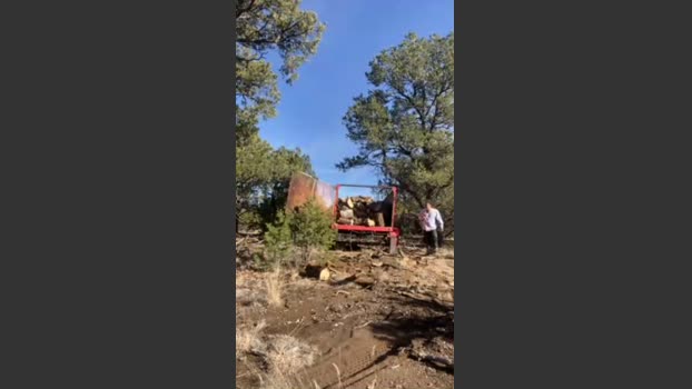 Dickfitswell68 big Webcam SHOW @ Cam4 29-11-2025