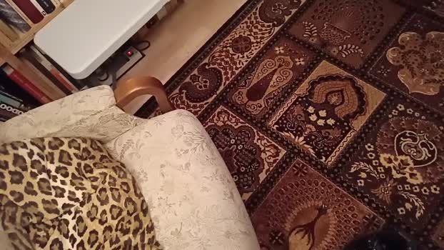 weed_whacker jerkoff Webcam SHOW @ Cam4 29-11-2025