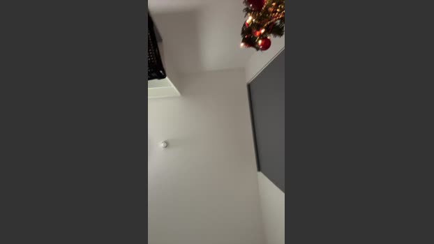 Heavenly_Guy fuckface Webcam SHOW @ Cam4 01-12-2025