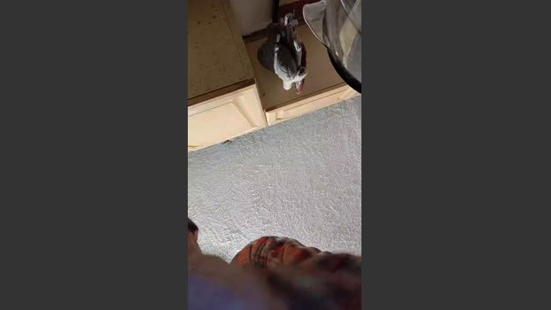 richie00731 sexybody Webcam SHOW @ Cam4 01-12-2025