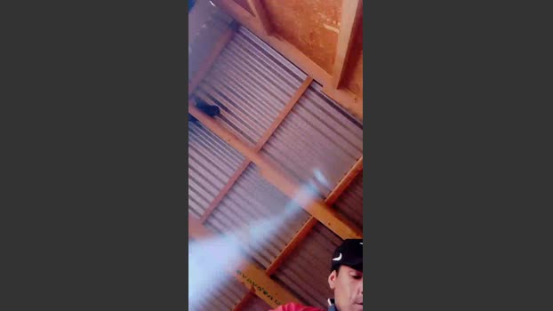Nuevo69 sweet Webcam SHOW @ Cam4 01-12-2025