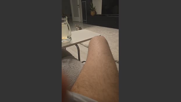 cem662 analtoy Webcam SHOW @ Cam4 02-12-2025