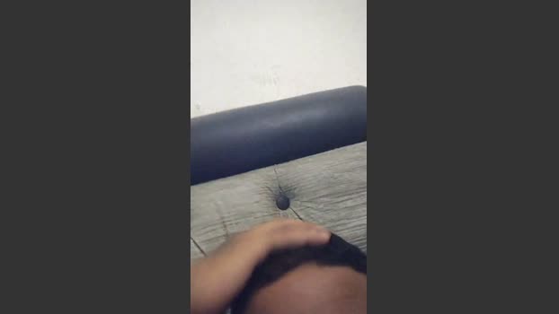 mgzin big Webcam SHOW @ Cam4 02-12-2025