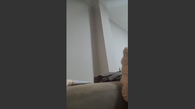 mnBrown deep Webcam SHOW @ Cam4 02-12-2025