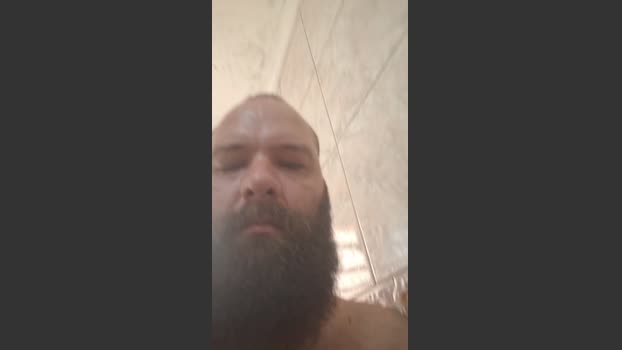 Brazilianbear_