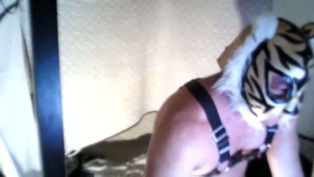 ken_mass strip Webcam SHOW @ Cam4 04-12-2025