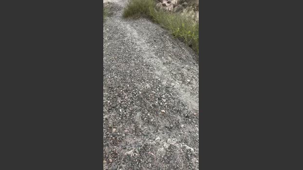 Laoquedad fuckme Webcam SHOW @ Cam4 04-12-2025