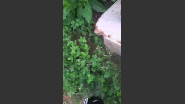 Daddy_capixaba orgasm Webcam SHOW @ Cam4 05-12-2025