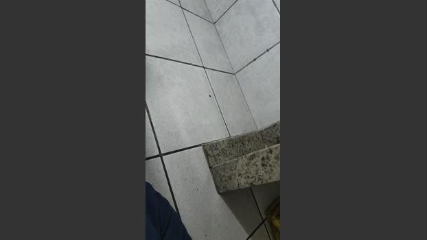LekDotado33 fuckass Webcam SHOW @ Cam4 06-12-2025