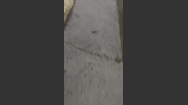 Laoquedad suck Webcam SHOW @ Cam4 07-12-2025