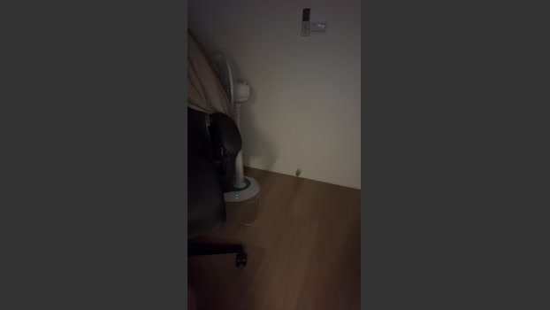BurgerRush_PPP hardcock Webcam SHOW @ Cam4 07-12-2025