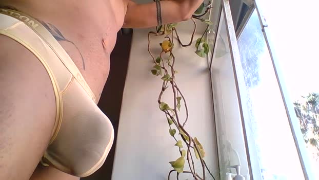 20cmcdmx Ass Webcam SHOW @ Cam4 09-12-2025