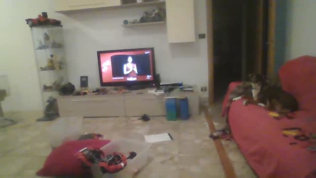 zena_xxx jackoff Webcam SHOW @ Cam4 09-12-2025
