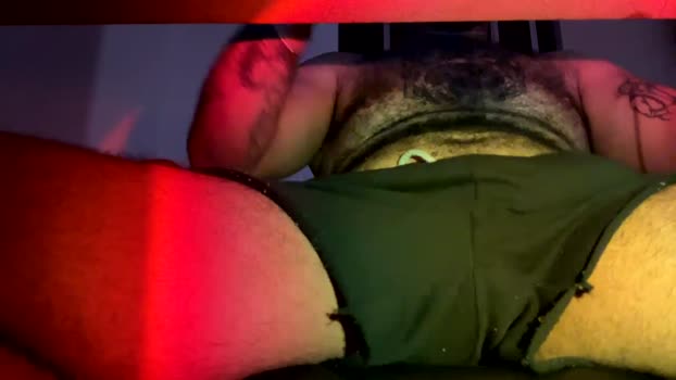 BrChubbyBear