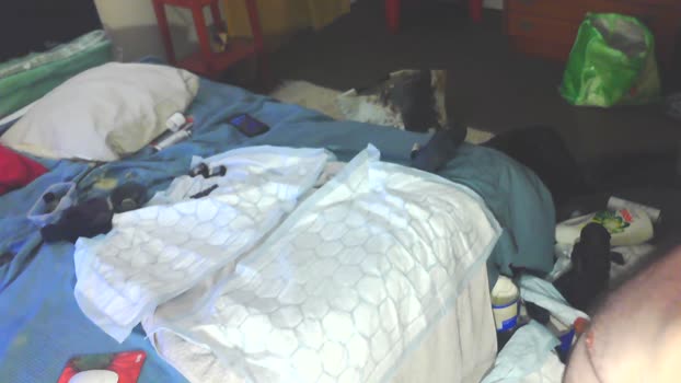 MeunierLubrique harddick Webcam SHOW @ Cam4 10-12-2025
