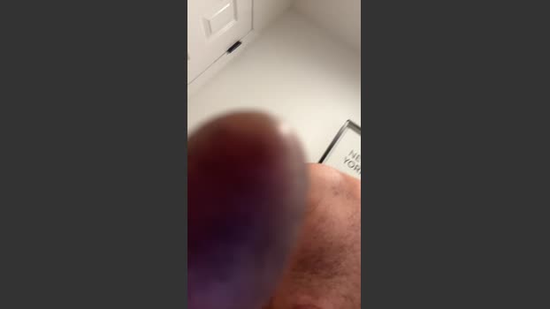 Seekmeco31