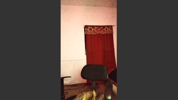 sableye21 love Webcam SHOW @ Cam4 11-12-2025