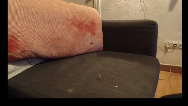 construk analtoy Webcam SHOW @ Cam4 12-12-2025
