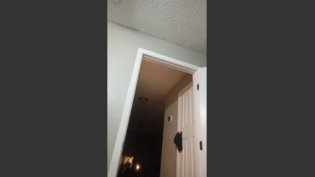 Littleguy25 bigass Webcam SHOW @ Cam4 13-12-2025