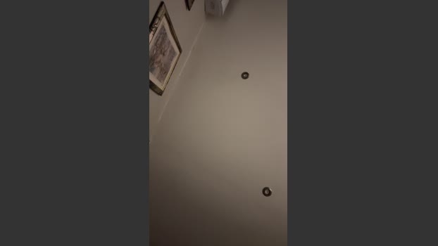 Silvzrhaaze naked Webcam SHOW @ Cam4 12-12-2025