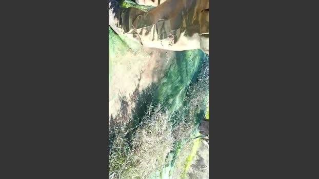 Top_man jerkoff Webcam SHOW @ Cam4 13-12-2025