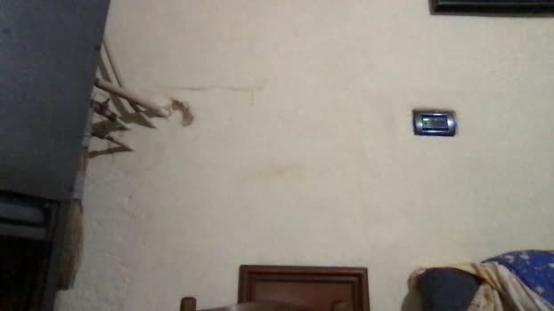 alfaromeopep hard Webcam SHOW @ Cam4 13-12-2025