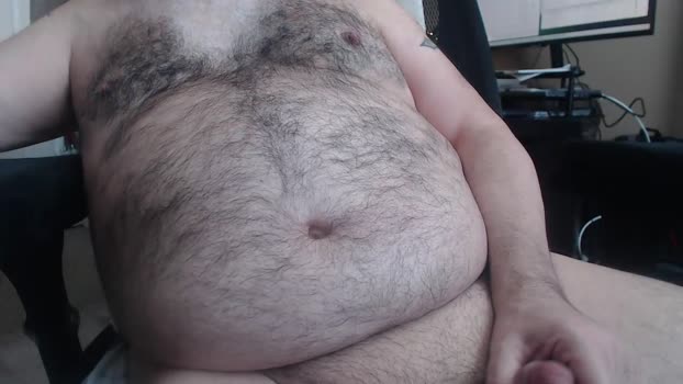 lazycub2