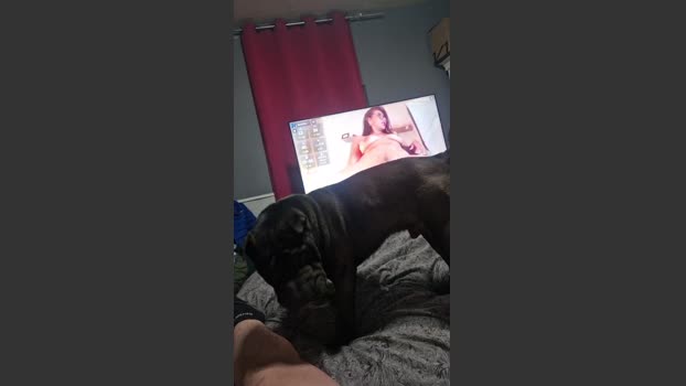 Ismael993 juicy Webcam SHOW @ Cam4 14-12-2025