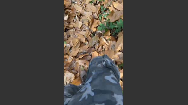 Zorro2024 lick Webcam SHOW @ Cam4 14-12-2025