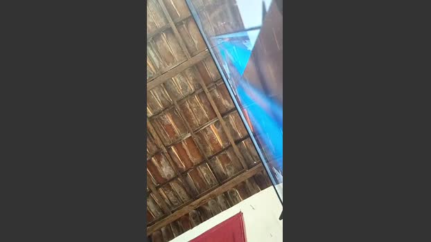 zepica7 bigcock Webcam SHOW @ Cam4 13-12-2025