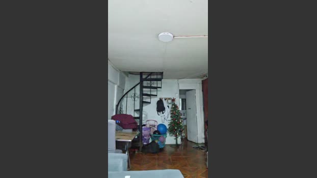 Eliasfabianc fuckher Webcam SHOW @ Cam4 15-12-2025