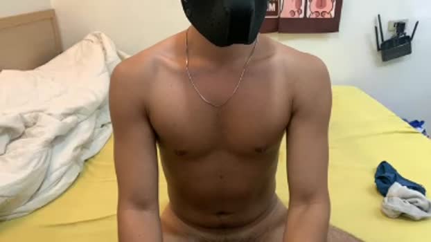 Haogymdog