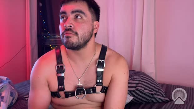RawAlphaPups natural Webcam SHOW @ Cam4 15-12-2025