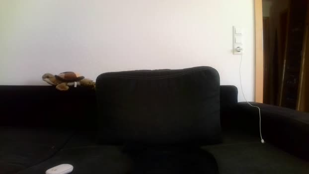 Route6 ass Webcam SHOW @ Cam4 15-12-2025