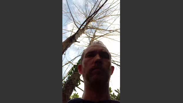 Trolls37 sexyfeet Webcam SHOW @ Cam4 16-12-2025