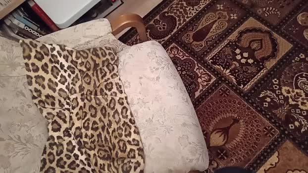 weed_whacker lovense Webcam SHOW @ Cam4 15-12-2025