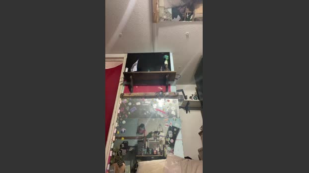 DDROPPA wank Webcam SHOW @ Cam4 17-12-2025