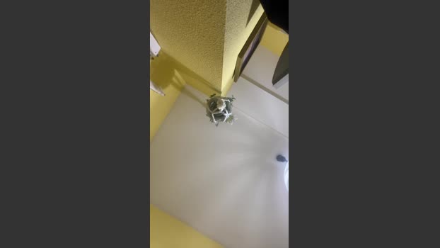 teamboys3 jerkoff Webcam SHOW @ Cam4 17-12-2025
