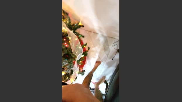 Atituderude hard Webcam SHOW @ Cam4 18-12-2025