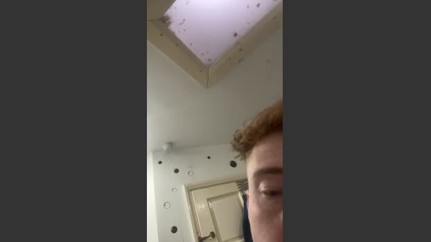 Britishginger1 beautiful Webcam SHOW @ Cam4 18-12-2025