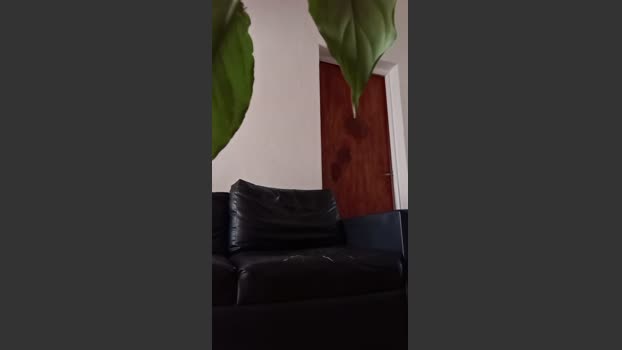Tamo_Loco hot Webcam SHOW @ Cam4 18-12-2025